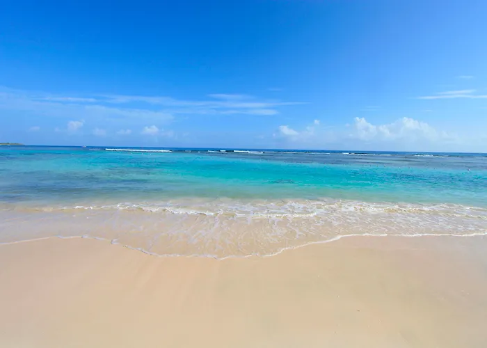Bahia Principe Explore Jamaica (adults Only) 5* Runaway Bay