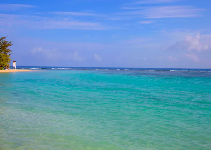 Bahia Principe Explore Jamaica (adults Only) Runaway Bay
